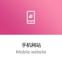 手機(jī)網(wǎng)站_03